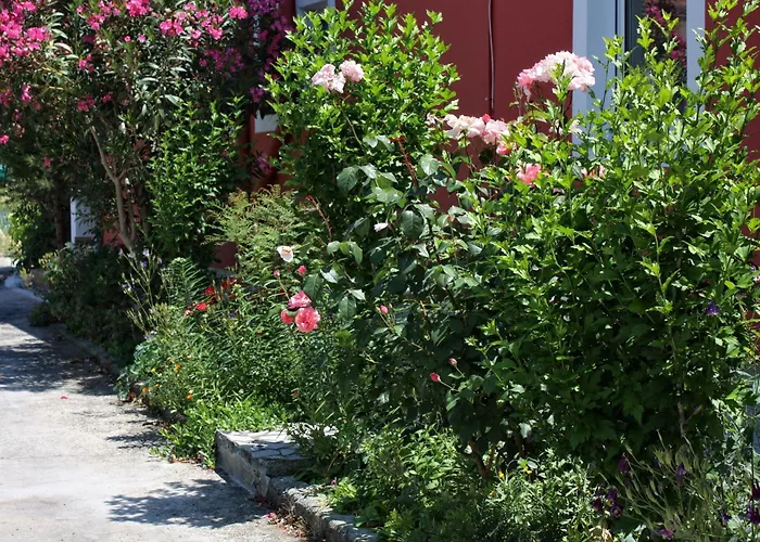 4972b Apartament Kampor